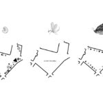 Propozycje nowych szyldów i reklam które opracowali projektanci uczestniczący w II edycji Włoskiej Szkoły Designu