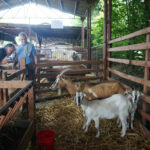 Dzień Otwartych Drzwi w Modliszewicach (28 czerwca 2015 r.) / Ewa Okońska / Radio Kielce