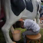 Dzień Otwartych Drzwi w Modliszewicach (28 czerwca 2015 r.) / Ewa Okońska / Radio Kielce