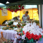 21.6.2015 Sędziszów. IX Festiwal Ludowy / Radio Kielce