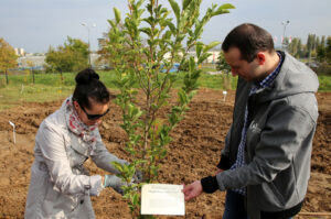 Nasadzanie magnolii w ogrodzie botanicznym w Kielcach / Kamil Król / Radio Kielce