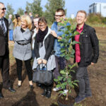 Nasadzanie magnolii w ogrodzie botanicznym w Kielcach / Kamil Król / Radio Kielce