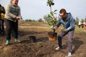 Nasadzanie magnolii w ogrodzie botanicznym w Kielcach / Kamil Król / Radio Kielce