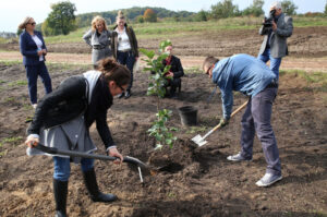 Nasadzanie magnolii w ogrodzie botanicznym w Kielcach / Kamil Król / Radio Kielce