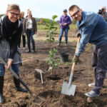 Nasadzanie magnolii w ogrodzie botanicznym w Kielcach / Kamil Król / Radio Kielce
