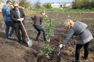 Nasadzanie magnolii w ogrodzie botanicznym w Kielcach / Kamil Król / Radio Kielce