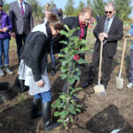 Nasadzanie magnolii w ogrodzie botanicznym w Kielcach / Kamil Król / Radio Kielce