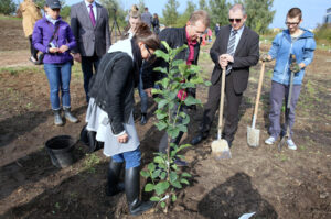 Nasadzanie magnolii w ogrodzie botanicznym w Kielcach / Kamil Król / Radio Kielce