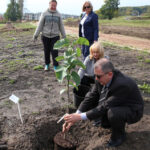Nasadzanie magnolii w ogrodzie botanicznym w Kielcach / Kamil Król / Radio Kielce