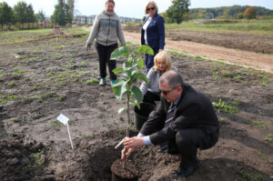 Nasadzanie magnolii w ogrodzie botanicznym w Kielcach / Kamil Król / Radio Kielce