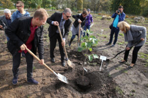 Nasadzanie magnolii w ogrodzie botanicznym w Kielcach / Kamil Król / Radio Kielce