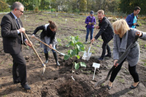 Nasadzanie magnolii w ogrodzie botanicznym w Kielcach / Kamil Król / Radio Kielce