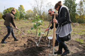 Nasadzanie magnolii w ogrodzie botanicznym w Kielcach / Kamil Król / Radio Kielce