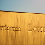 BWA. Wojciech Gepner - Grace # Land / Wojciech Habdas / Radio Kielce