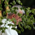 04.06.2015 Kielce. Procesja Bożego Ciała przeszła ulicami Kielc. / Stanisław Blinstrub / Radio Kielce