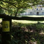 Krowy i byki rządzą w bałtowskim pałacu (25 lipca 2015 r.) / Teresa Czajkowska / Radio Kielce