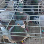 Karol Żak / Radio Kielce