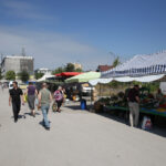 Piotr Michalski / Radio Kielce