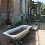 Krowy i byki rządzą w bałtowskim pałacu (25 lipca 2015 r.) / Teresa Czajkowska / Radio Kielce