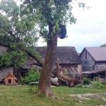 20.7.2015 Obice. Skutki gwałtownych burz z silnym wiatrem i opadami gradu w okolicach Obic. / Paweł Klepka / Radio Kielce