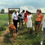 1.7.2015 Kurozwęki. W obronę bizonów z Kurozwęk włączyła się warszawska posłanka Prawa i Sprawiedliwości Małgorzata Gosiewska. / Radio Kielce