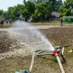 05.07.2015. Puchar Polski w piłce nożnej błotnej w Błotnowoli / Kamil Król / Radio Kielce