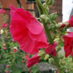 30.07.2015 Green Velo. Warmińsko-Mazurskie. / Krzysztof Żołądek / Radio Kielce