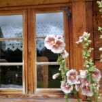 30.07.2015 Green Velo. Warmińsko-Mazurskie.  Skansen przy Muzeum Sztuki Ludowej w Węgorzewie / Krzysztof Żołądek / Radio Kielce