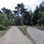 29.07.2015 Kielce. Ulica Pietraszki. Budowa ścieżki Green Velo. / Robert Felczak / Radio Kielce