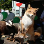 04.07.2015. Otwarcie zmodernizowanego rynku w Rakowie / Kamil Król / Radio Kielce