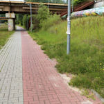 16.7.2015 Kielce. Ścieżka rowerowa wzdłuż ul. Łódzkiej zapada się i porasta chwastami. / Wojciech Habdas / Radio Kielce