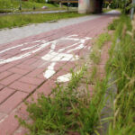 16.7.2015 Kielce. Ścieżka rowerowa wzdłuż ul. Łódzkiej zapada się i porasta chwastami. / Wojciech Habdas / Radio Kielce