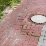 16.7.2015 Kielce. Ścieżka rowerowa wzdłuż ul. Łódzkiej zapada się i porasta chwastami. / Wojciech Habdas / Radio Kielce