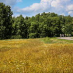 29.7.2015 Lidzbark Warmiński. Z lokalną grupą rowerzystów wybraliśmy się na wycieczkę fragmentem szlaku Green Velo prowadzącym do Stoczka Klasztornego. / Wojciech Habdas / Radio Kielce
