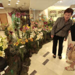 11.7.2015 Kielce. Najpiękniejsze lilie można zobaczyć w KCK / Włodzimierz Batóg / Radio Kielce