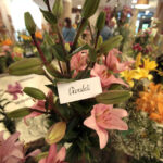 11.7.2015 Kielce. Najpiękniejsze lilie można zobaczyć w KCK / Włodzimierz Batóg / Radio Kielce