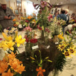 11.7.2015 Kielce. Najpiękniejsze lilie można zobaczyć w KCK / Włodzimierz Batóg / Radio Kielce