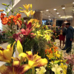 11.7.2015 Kielce. Najpiękniejsze lilie można zobaczyć w KCK / Włodzimierz Batóg / Radio Kielce