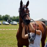 12.07.2015 16. Czempionat Koni Małopolskich w Opatowcu / Radio Kielce