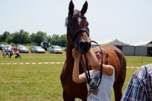 12.07.2015 16. Czempionat Koni Małopolskich w Opatowcu / Radio Kielce