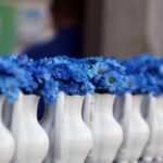 16.07.2015 Kielce. Muzeum Nardowe. Otwarcie wystawy porcelany Ćmielowskiej / Stanisław Blinstrub / Radio Kielce