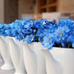 16.07.2015 Kielce. Muzeum Nardowe. Otwarcie wystawy porcelany Ćmielowskiej / Stanisław Blinstrub / Radio Kielce