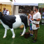 Dożynki w gminie Bieliny (23 sierpnia 2015 r.) / Grzegorz Jamka / Radio Kielce