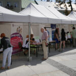 Targi Pracy na kieleckim Rynku (27 sierpnia 2015 r.) / Piotr Michalski / Radio Kielce