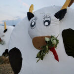 Gmina Górno przygotowuje się do Święta Plonów (22 sierpnia 2015 r.) / Piotr Michalski / Radio Kielce