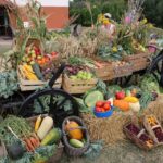 Dożynki w gminie Chęciny (23 sierpnia 2015 r.) / Kamil Król / Radio Kielce