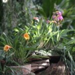 21.08.2015 Green Velo. Łańcut / Robert Felczak / Radio Kielce