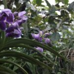 21.08.2015 Green Velo. Łańcut / Robert Felczak / Radio Kielce