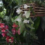 21.08.2015 Green Velo. Łańcut / Robert Felczak / Radio Kielce