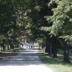 21.08.2015 Green Velo. Łańcut / Robert Felczak / Radio Kielce